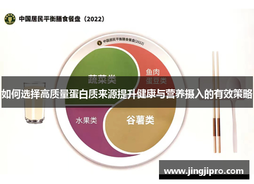 如何选择高质量蛋白质来源提升健康与营养摄入的有效策略