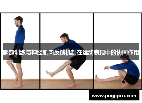 腿部训练与神经肌肉反馈机制在运动表现中的协同作用